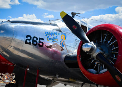 Sonoran Beauty Beech Aircraft